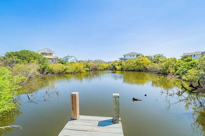Pond with Birds, Turtles and Fish
