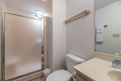 Main Level Master Bath