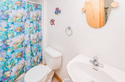 Lower Level Hall Bath