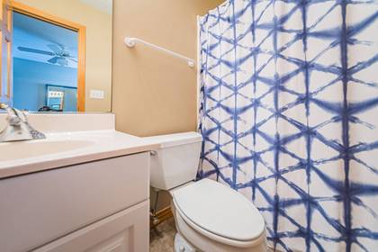 Lower Level Master Bath