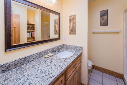 Upper Level Master Bath