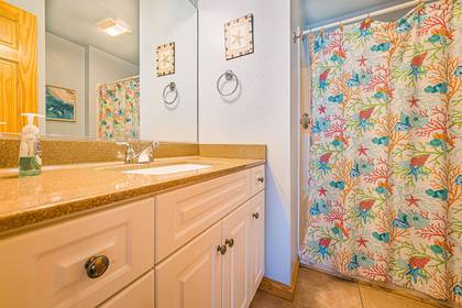 Mid Level Master Bath