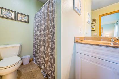 Mid Level Master Bath