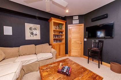 Lower Level TV Room