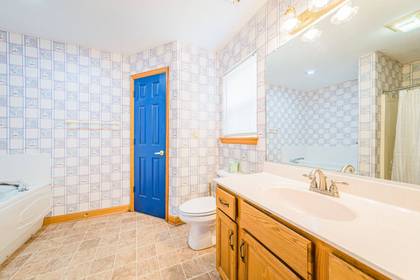 Lower Level Master Bath