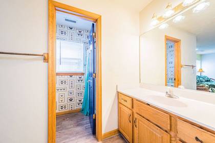Lower Level Master Bath