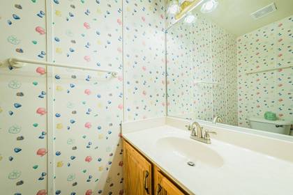 Lower Level Powder Room