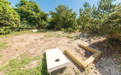 Corn Hole & Horseshoes
