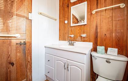 Lower Level Master Bath
