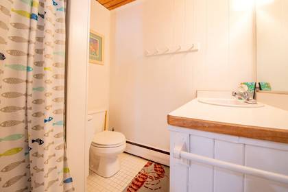 Lower Level Master Bath