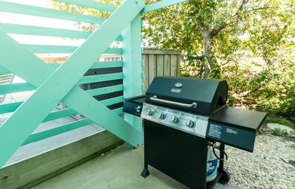 Gas Grill