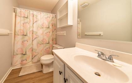 Mid Level Hall Bath