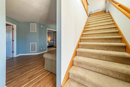 Mid Level Entry