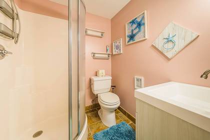 Lower Level Bath