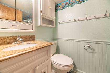 Lower Level Master Bath