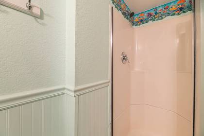 Lower Level Master Bath