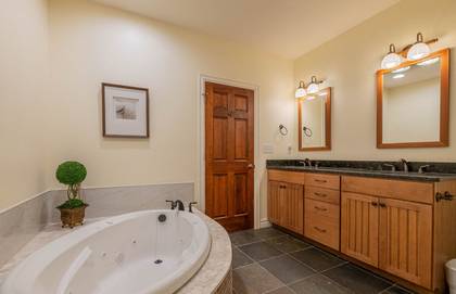 Lower Level Master Bath