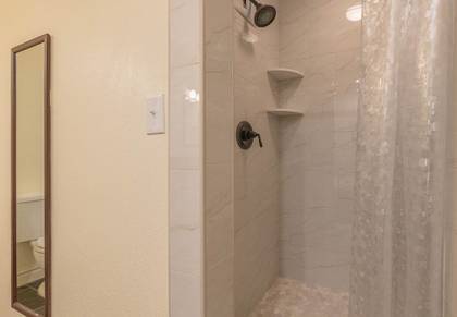 Lower Level Master Bath