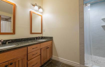 Lower Level Master Bath