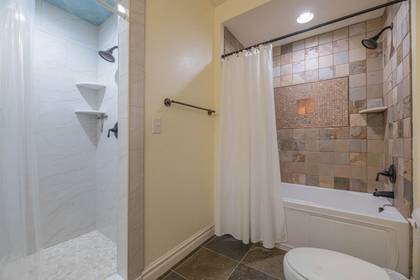 Lower Level Master Bath