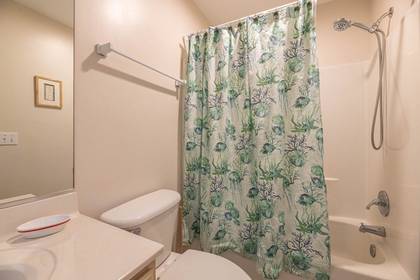 Mid Level Master Bath