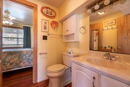 Lower Level Bath