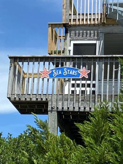 Sea Stars