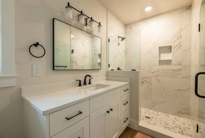 Lower Level Master Bath