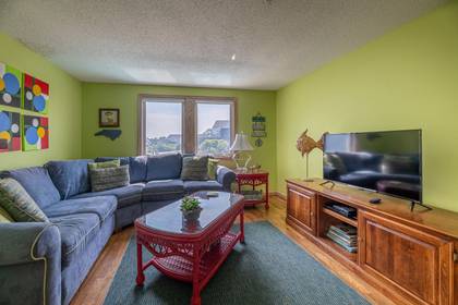 Mid Level Living Room