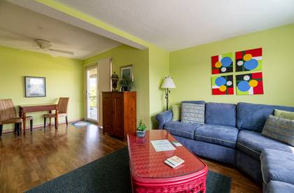 Mid Level Living Room