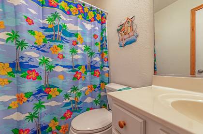 Mid Level Master Bath