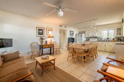 Dining/Living Area