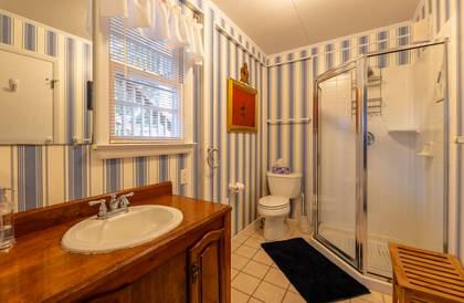 Lower Level Bath