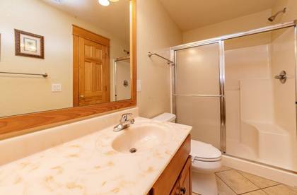 Lower Level Bath