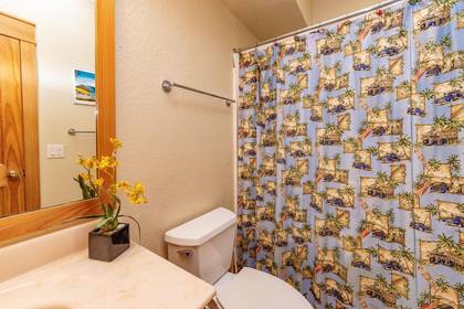 Lower Level Master Bath