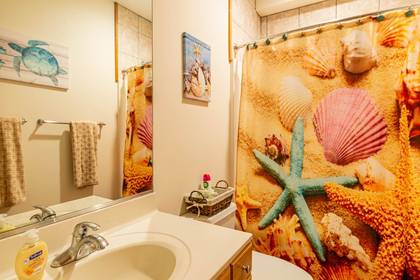 Lower Level Master Bath