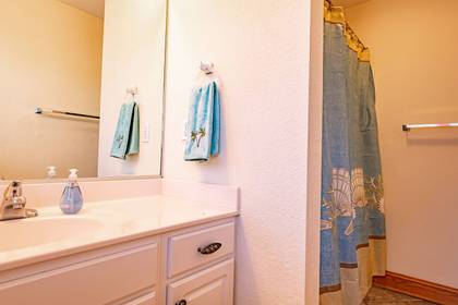 Mid Level Master Bath