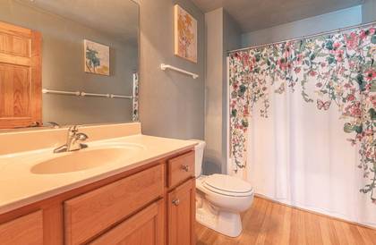 Lower Level Master Bath