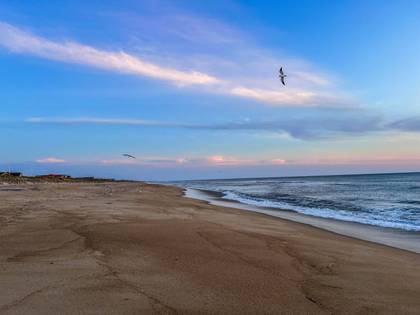 Beach Sunrise