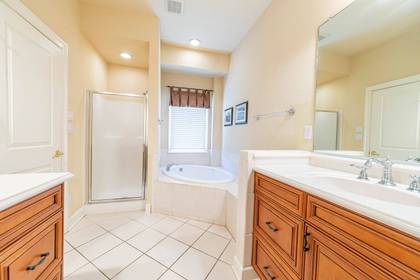 Lower Level Master Bath