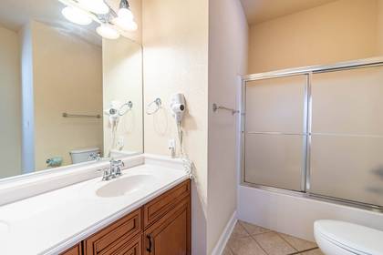 Lower Level Master Bath