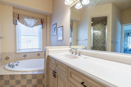 Lower Level Master Bath