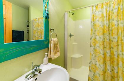 lower level full bath