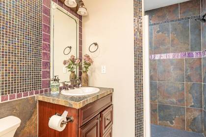 Lower Level Bath