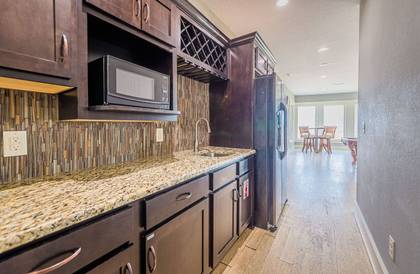 Rec Room Kitchenette