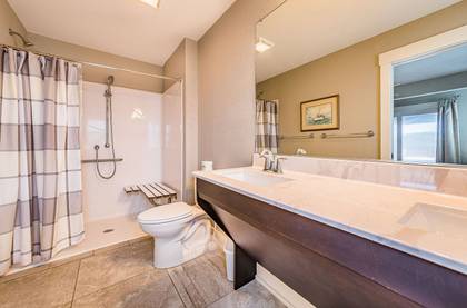 Lower Level Master Bath