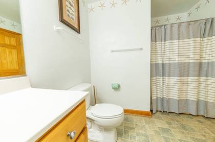 Lower Level Master Bath