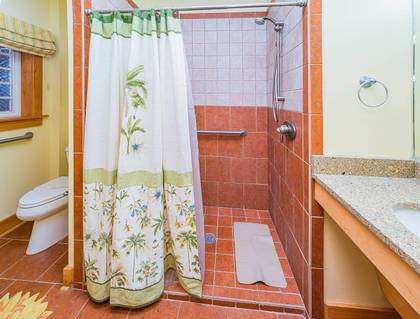 Lower Level Handicap Friendly Bath