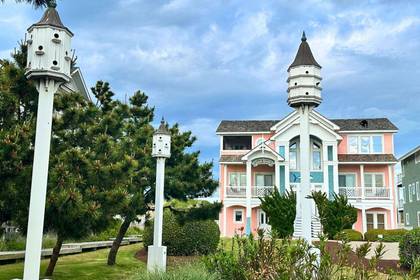 Purple Martin Houses!