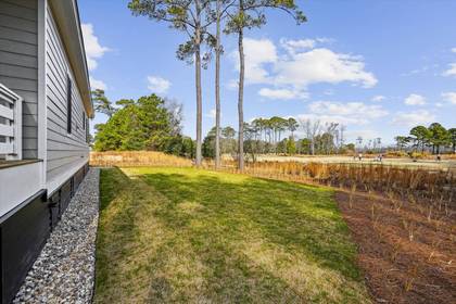 Side Yard